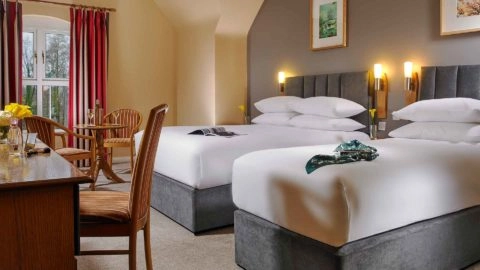 shannon_springs_hotel_standard_new
