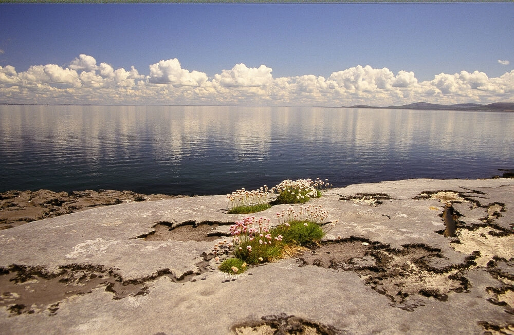The Burren