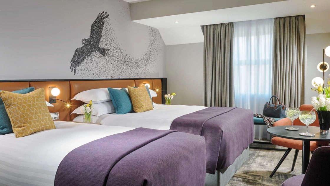 Superior Room Shannon Springs
