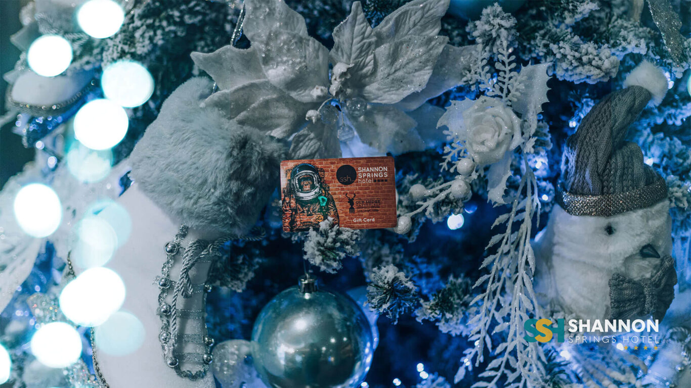 Christmas Vouchers